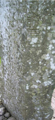 Standing Stone mit Ogham-Schriftzeichen